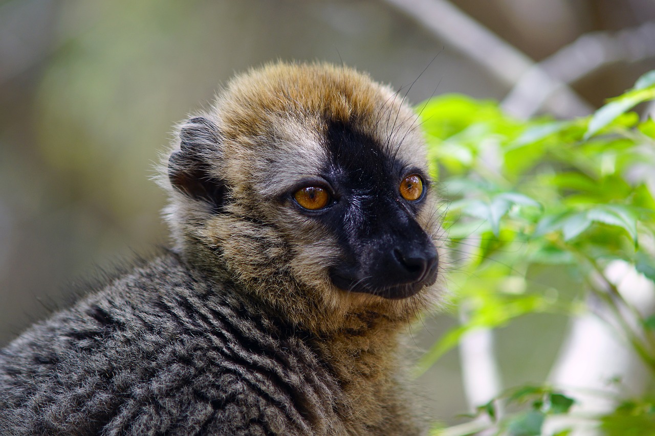 The Lost Civilizations of Madagascar - An Overview